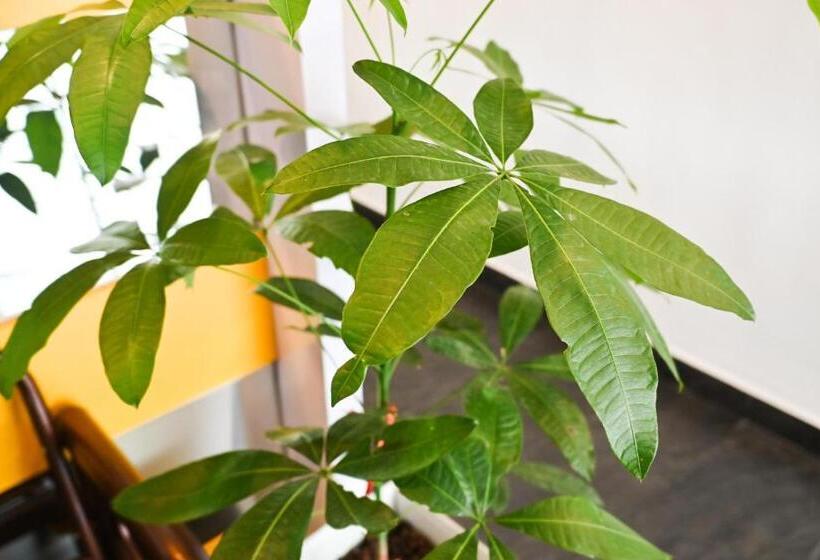 New Yx Oasis Hotel 新悦喜雅居自助酒店