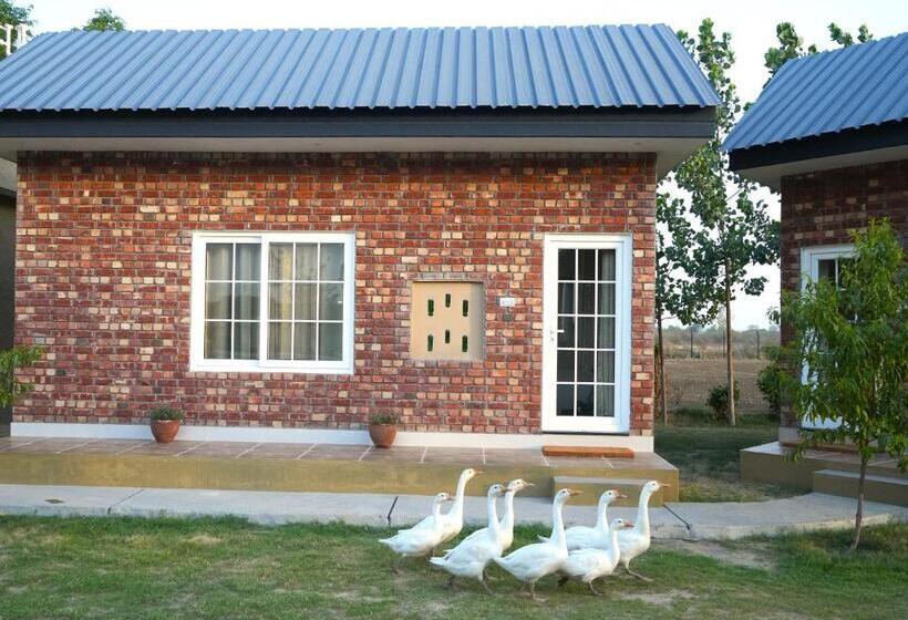 בית מלון כפרי Rustic Roots Farm Stay