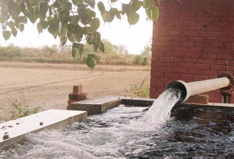 בית מלון כפרי Rustic Roots Farm Stay