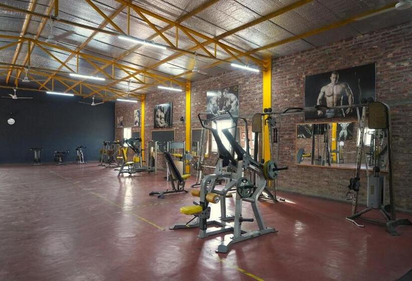 בית מלון כפרי Rustic Roots Farm Stay