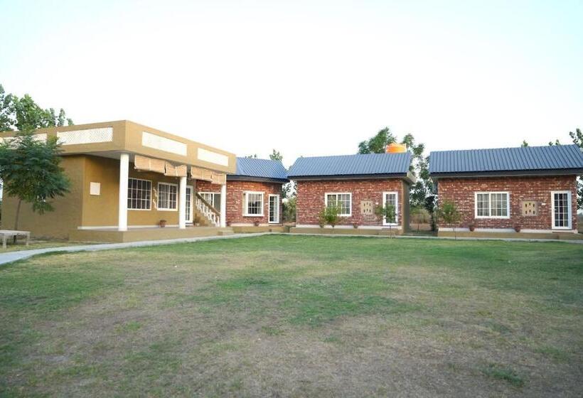 בית מלון כפרי Rustic Roots Farm Stay