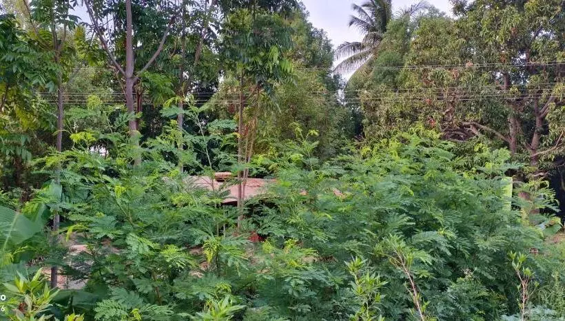 ホテル Saanvi Farmhouse