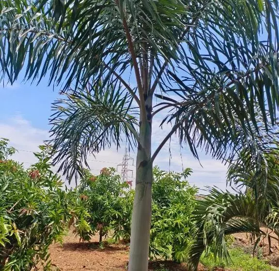 ホテル Saanvi Farmhouse