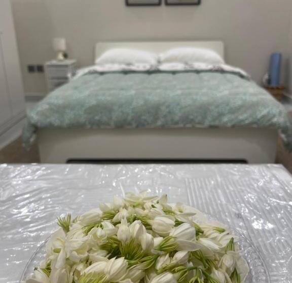 پانسیون ملاذ غرفة أنيقة للسيدات والعوائل فقط