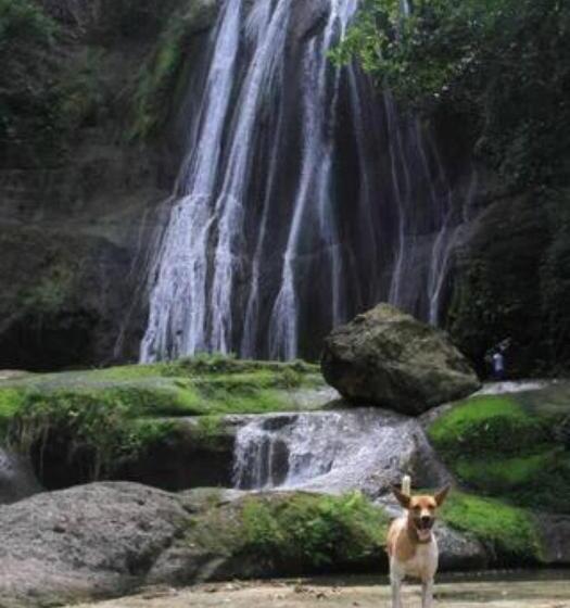 پانسیون Comfort Rooms