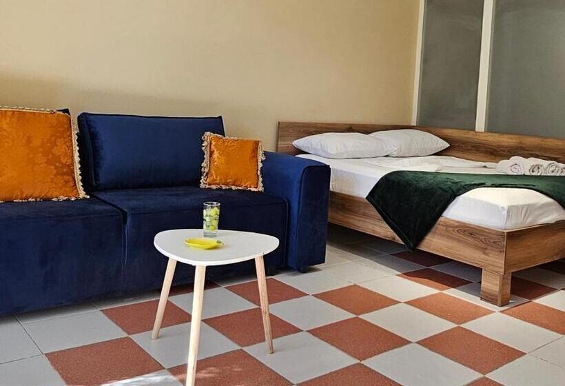 پانسیون Lemon House Borsh