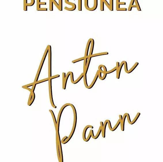 Pensiunea Anton Pann