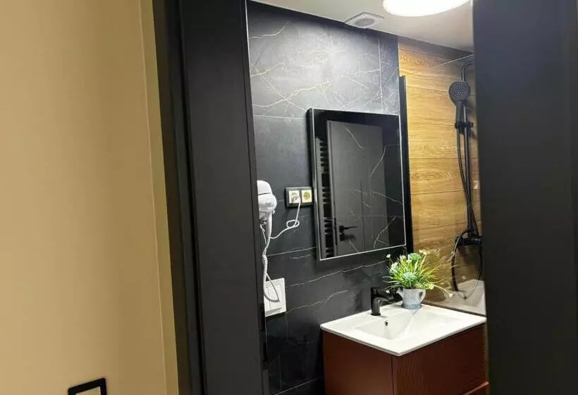 Pensiunea Anton Pann