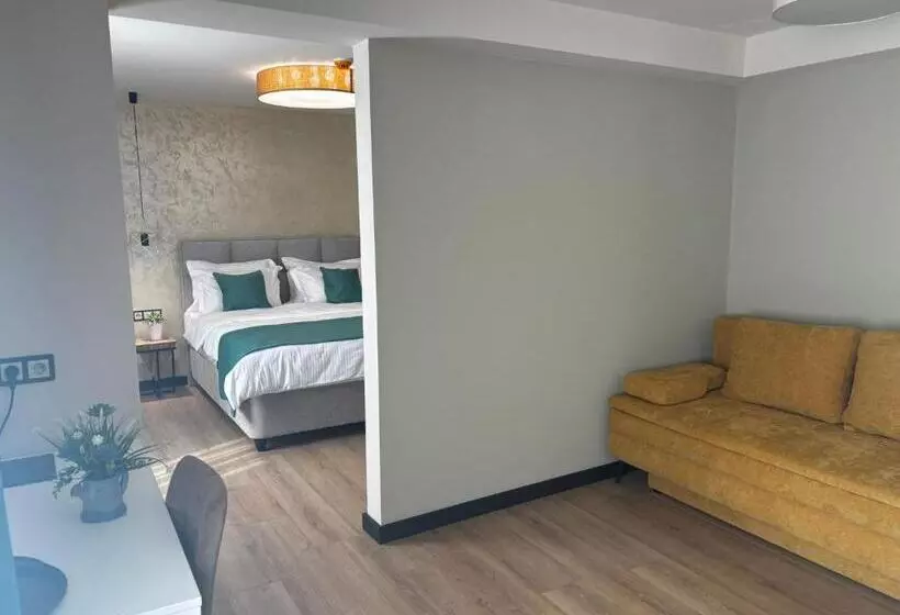 Pensiunea Anton Pann