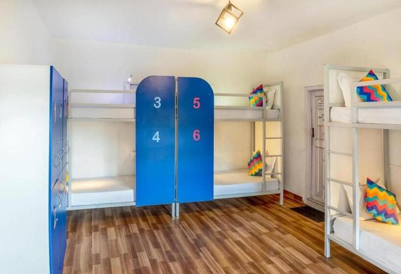 Albergue Oak Land House Manali