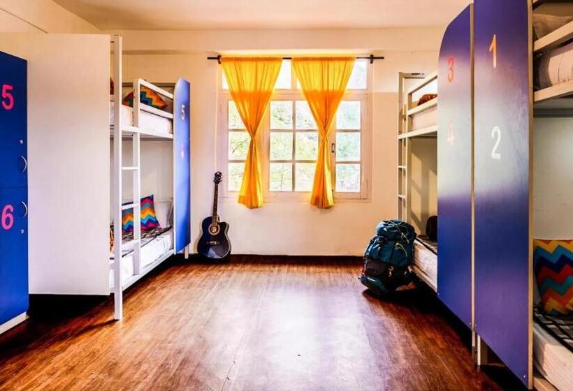 Albergue Oak Land House Manali