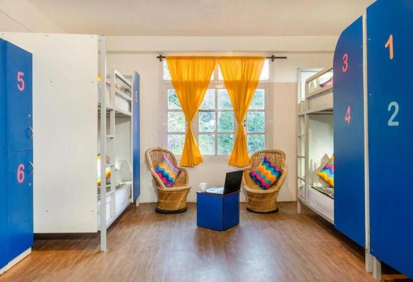 Albergue Oak Land House Manali