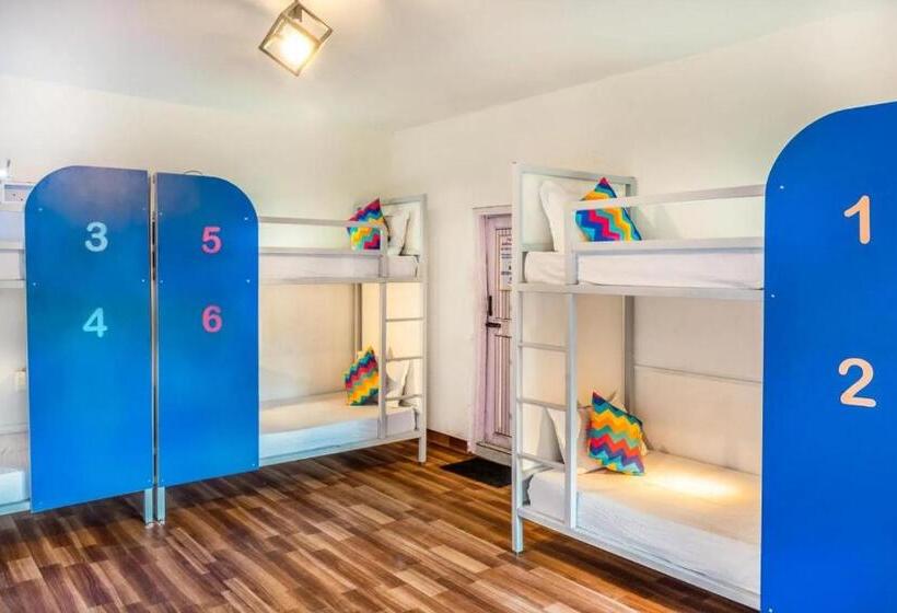 Albergue Oak Land House Manali