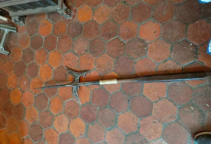 Aamiaismajoitus (B&B) La Tanière Des Tanneries