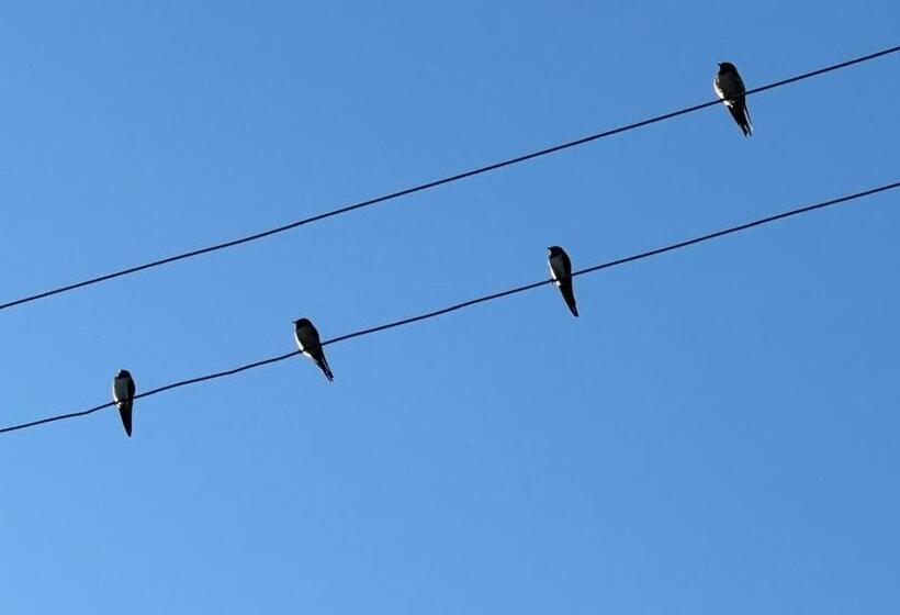 민박 Trulli Oiseaux Migrateurs