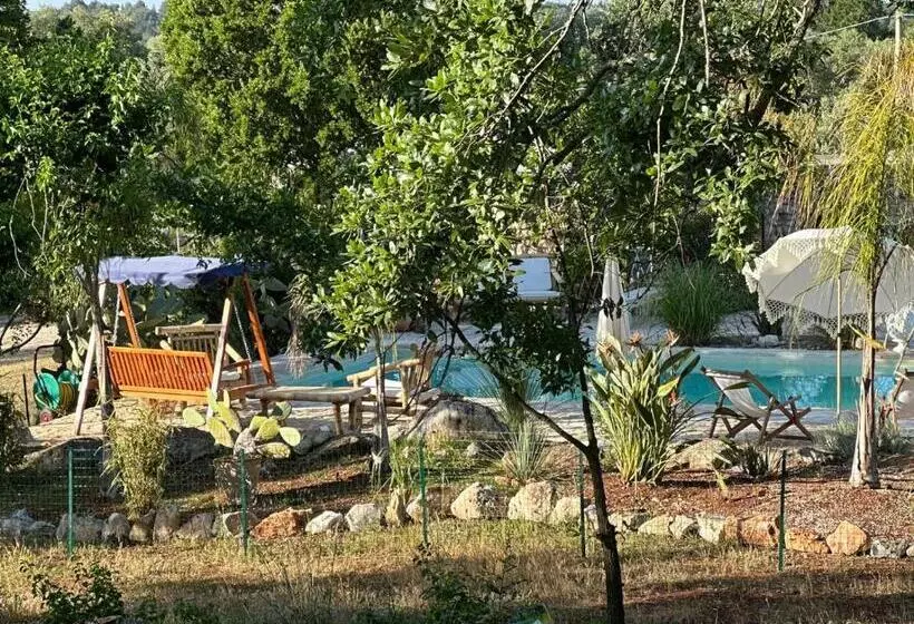 Aamiaismajoitus (B&B) Trulli Oiseaux Migrateurs