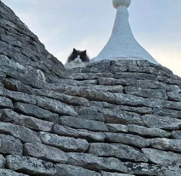 Aamiaismajoitus (B&B) Trulli Oiseaux Migrateurs