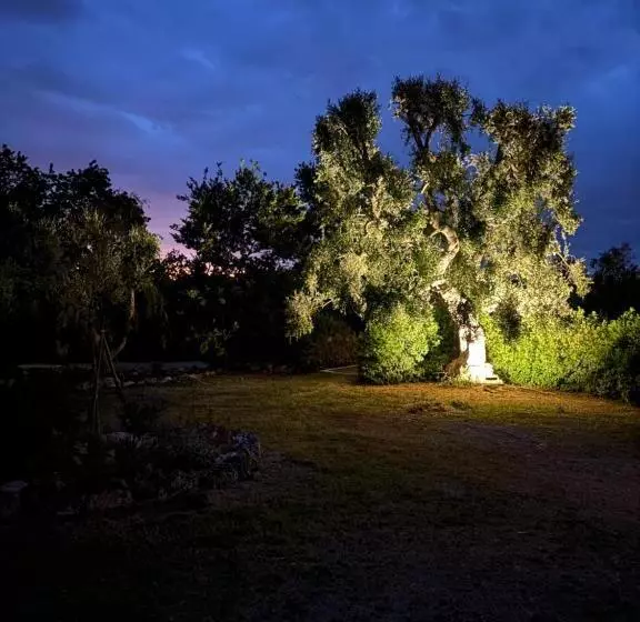 Aamiaismajoitus (B&B) Trulli Oiseaux Migrateurs