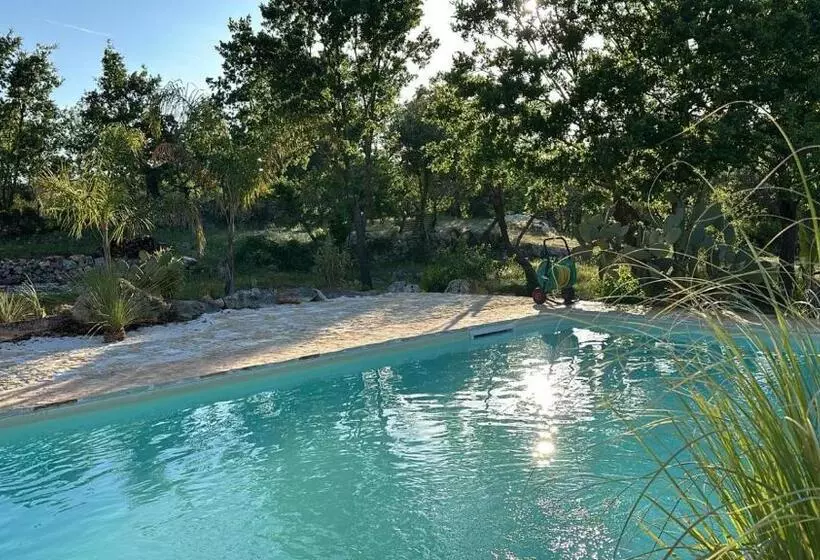 Aamiaismajoitus (B&B) Trulli Oiseaux Migrateurs