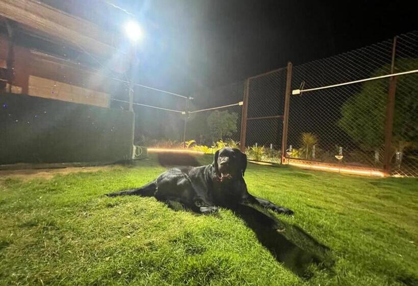 호텔 The Cozy Corner