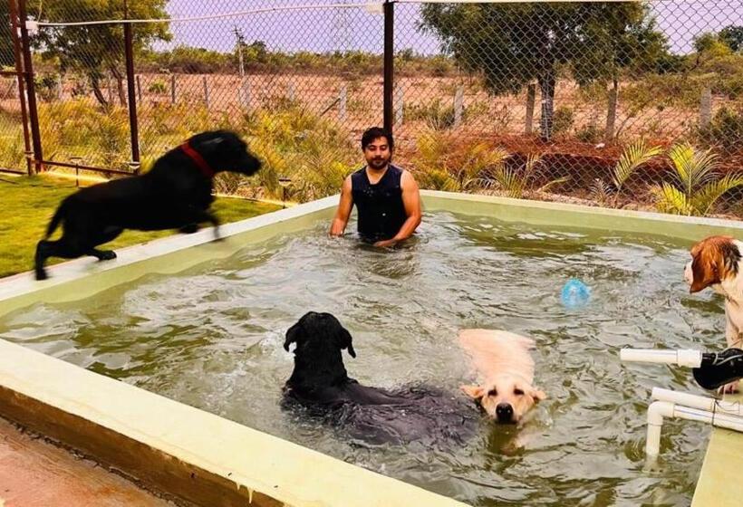 호텔 The Cozy Corner