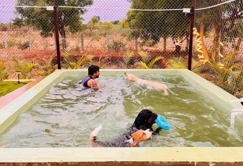 호텔 The Cozy Corner