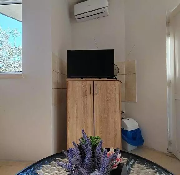 پانسیون Apartmani I Sobe Brancin
