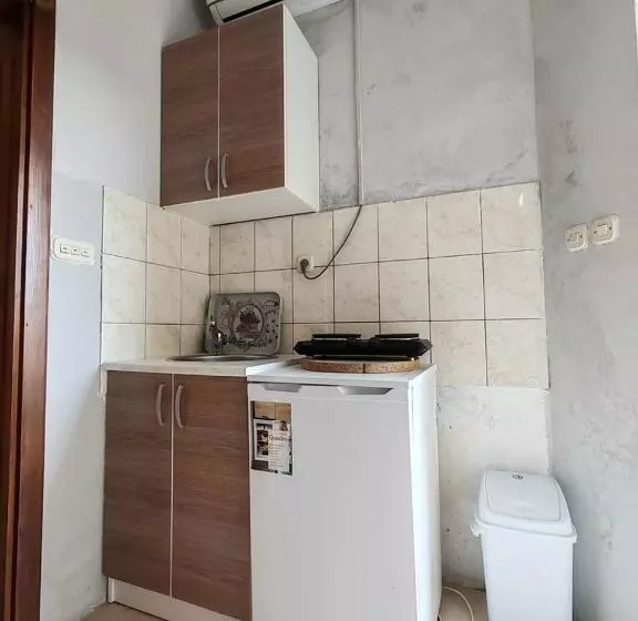 پانسیون Apartmani I Sobe Brancin