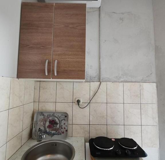 پانسیون Apartmani I Sobe Brancin