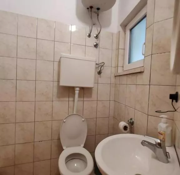 پانسیون Apartmani I Sobe Brancin