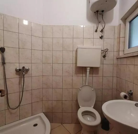 پانسیون Apartmani I Sobe Brancin