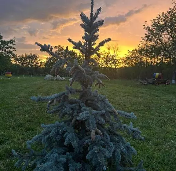 Majatalo Domeniul Mortasifu