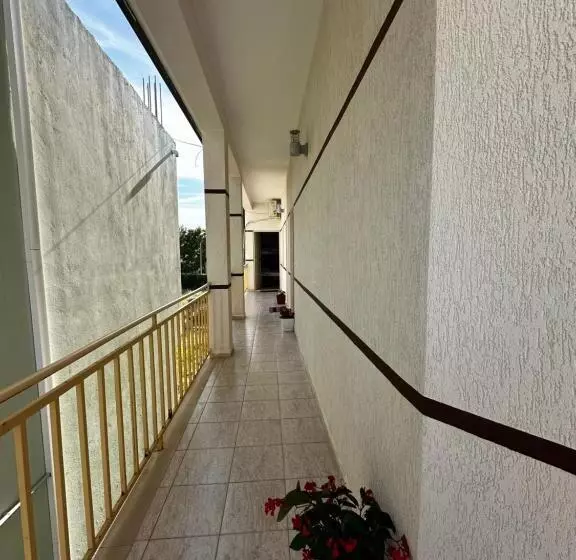 Ani T