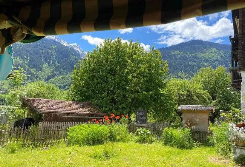 Aamiaismajoitus (B&B) Casa Vegana