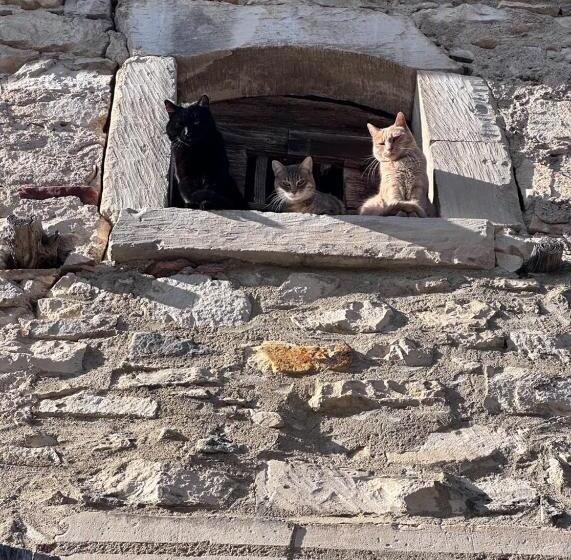 צימר Manoir De Rivières