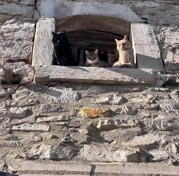 ベッドアンドブレックファースト Manoir De Rivières