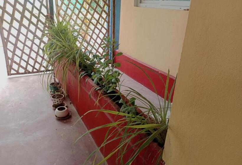 בית מלון כפרי En Harmonie Auroville  Aala