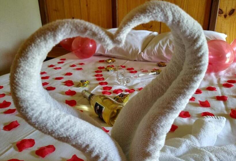 ホテル Pousada Luar