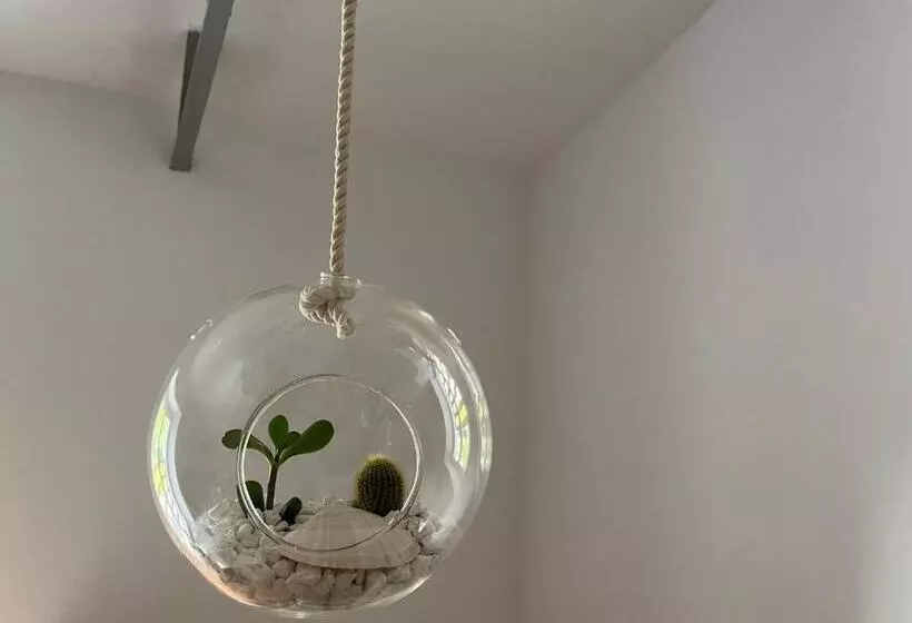 ペンション Hózhó Tempo   Sous Les Pins, Bed & Breakfast écofriendly & Slowlife Avec Sauna