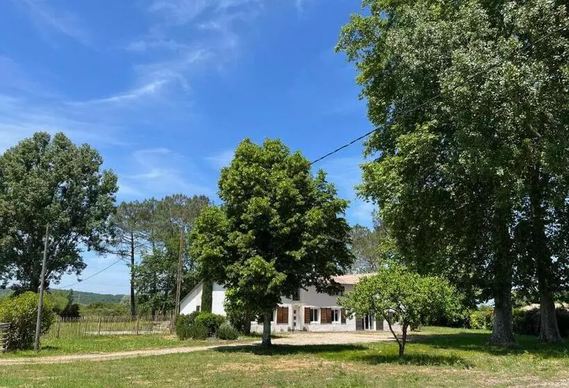 ペンション Hózhó Tempo   Sous Les Pins, Bed & Breakfast écofriendly & Slowlife Avec Sauna