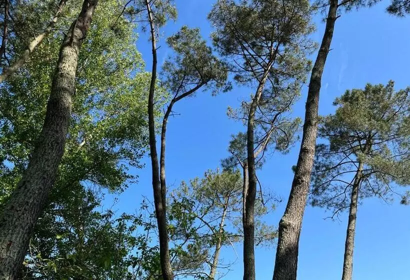 ペンション Hózhó Tempo   Sous Les Pins, Bed & Breakfast écofriendly & Slowlife Avec Sauna