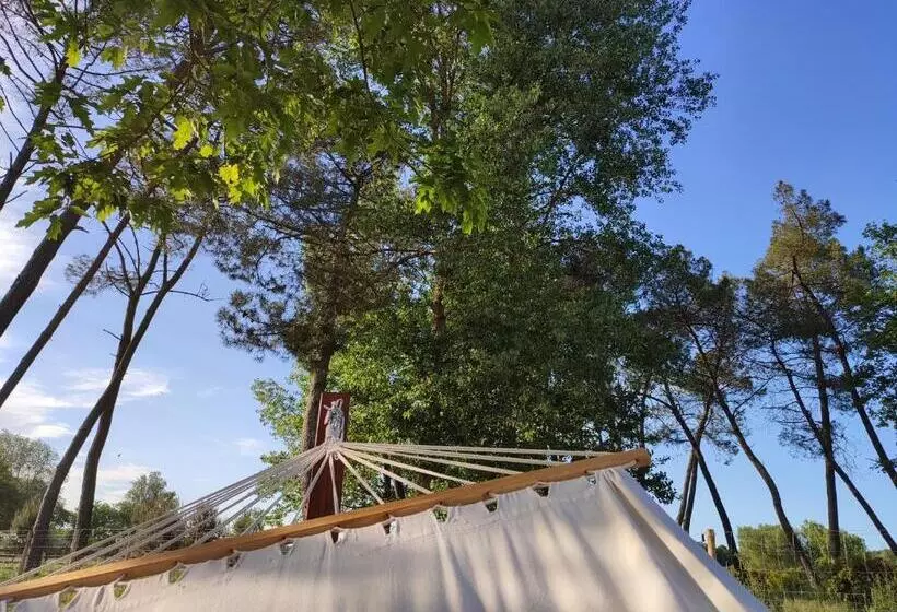 ペンション Hózhó Tempo   Sous Les Pins, Bed & Breakfast écofriendly & Slowlife Avec Sauna