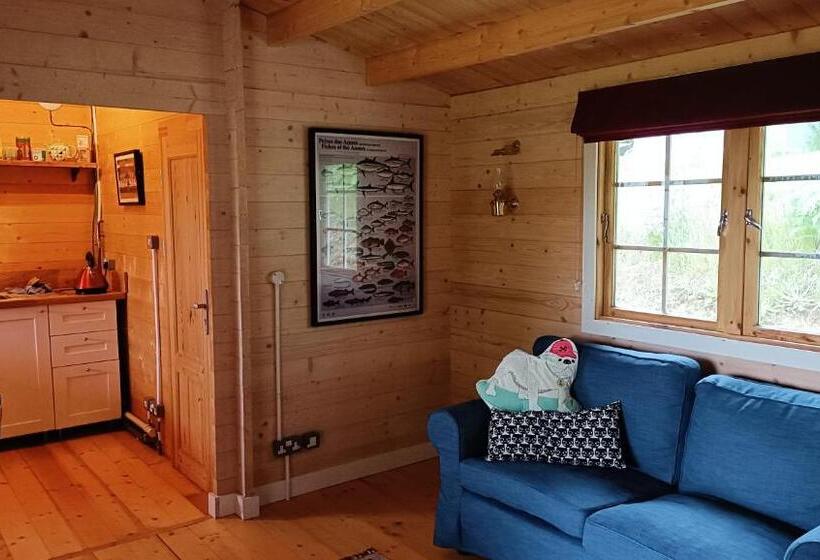 Pensjonat South Down Barn