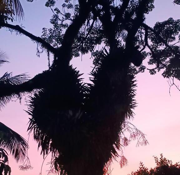 Pensión Suíte 3 Enseada Com Garagem