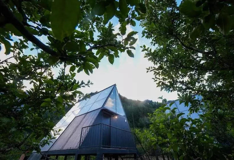 Lomakeskus Aayna Stays