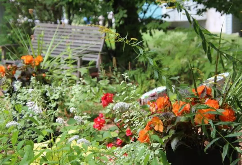 Auberge Comme Au Premier Jour