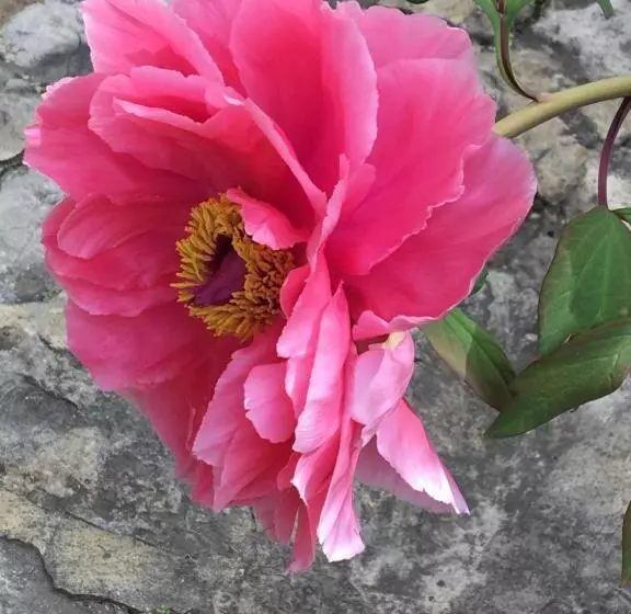 B&b Chambre De Julie Le Jardin