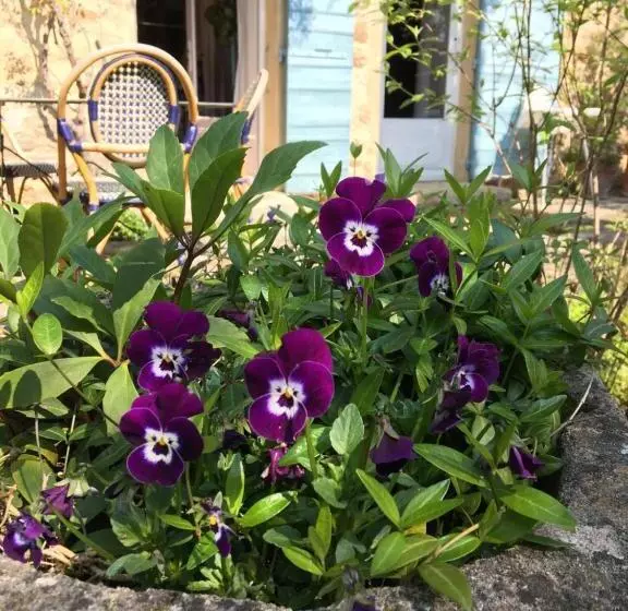 B&b Chambre De Julie Le Jardin