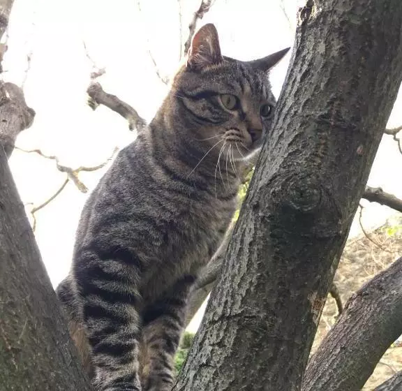 B&b Chambre De Julie Le Jardin