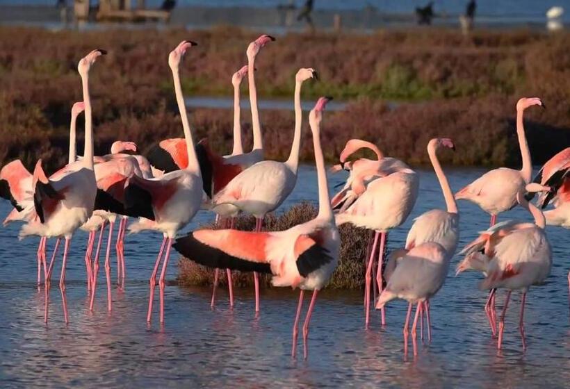 B&b Sbarco Dei 1000 Marsala